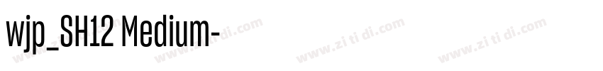 wjp_SH12 Medium字体转换 wjp_SH12 Medium字体转换